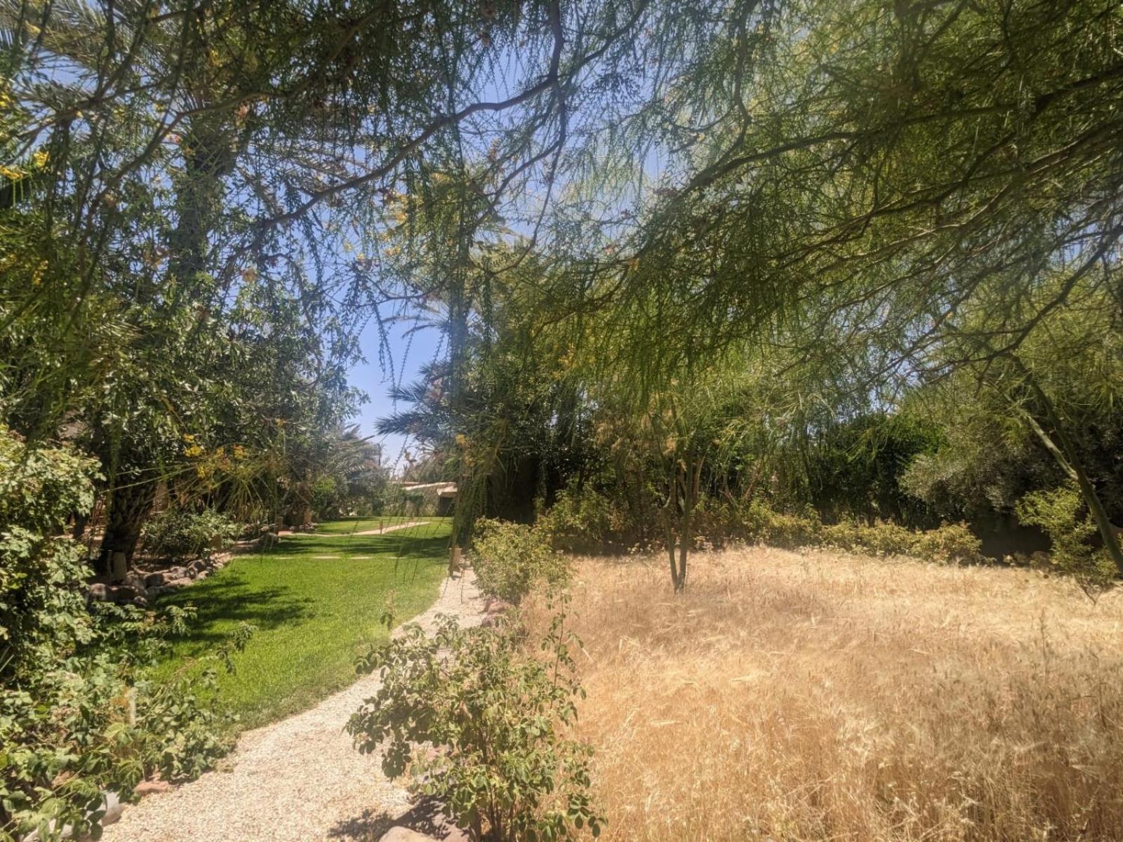 L'Ma Lodge Skoura Exterior foto