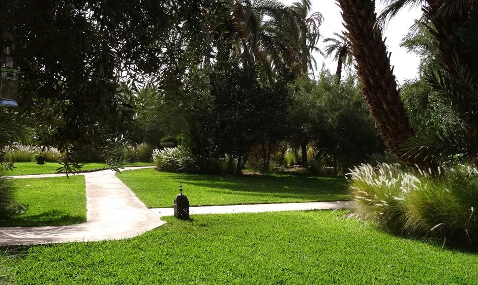L'Ma Lodge Skoura Exterior foto